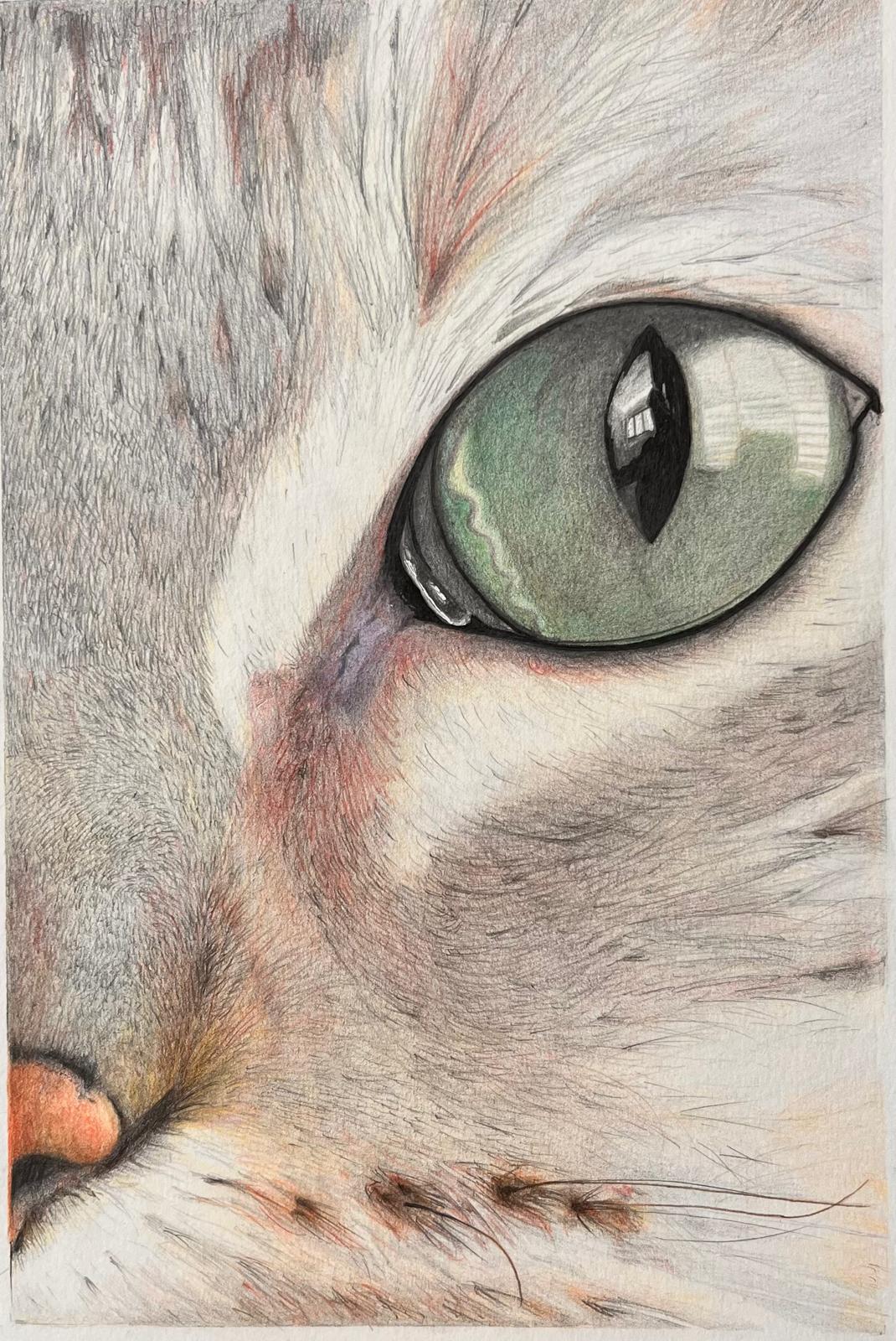 CAT ´S EYE